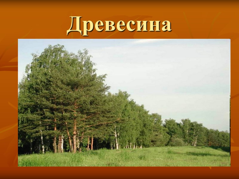 Древесина